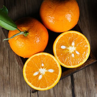 XUNGUOXIA 巡果侠果 夏橙 单果100g-150g 5斤/箱