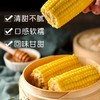 李豫龙 东北绥化黄糯玉米 200g*10根