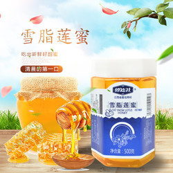 蜂连社农家自产健康醇真熟蜜雪脂莲蜜品质生活好蜜一瓶装500g蜂蜜