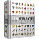 《DK博物大百科——自然界的视觉盛宴》