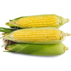 丑禾 云南现摘玉米 9-12根装
