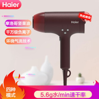 海尔（Haier）电吹风家用吹风机负离子护发大功率快干吹风筒HC820-01