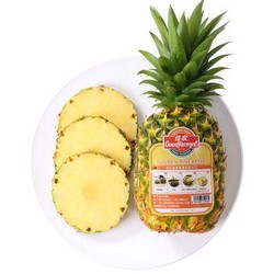 佳农 菲律宾菠萝 1个 精选巨无霸大果 单果重1.3-1.5kg *15件