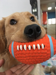 狗狗磨牙玩具泰迪小型犬宠物小狗幼犬耐咬发声大型犬金毛训练玩具