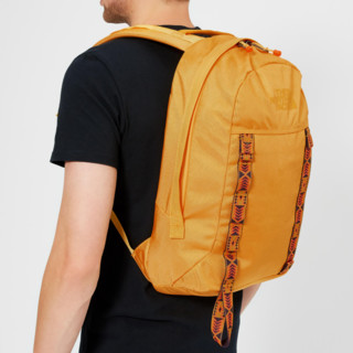 The North Face Lineage 休闲双肩背包 20L