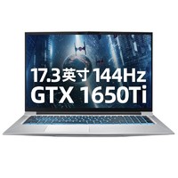 MACHENIKE 机械师 T系列 T90 Plus 笔记本电脑 (银色、酷睿i7-10750H、8GB、512GB SSD、GTX 1650Ti)