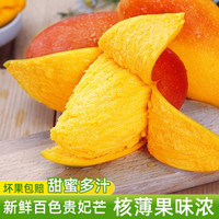 贵妃芒果 新鲜水果芒果 生鲜应季热带水果 京东生鲜 5斤中果