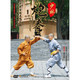 少林炮拳（DVD）