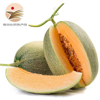金真安 陕西特产西州哈密瓜 10斤