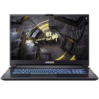Hasee 神舟 战神G7-CU7NA 17.3英寸 笔记本电脑 (黑色、酷睿i7-10750H、8GB、512GB SSD、GTX 1660Ti 6G、144Hz)