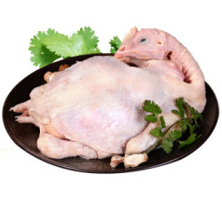 阮小哥 正宗土鸡三黄鸡肉新鲜冷冻整只白条鸡 500-999g *6件