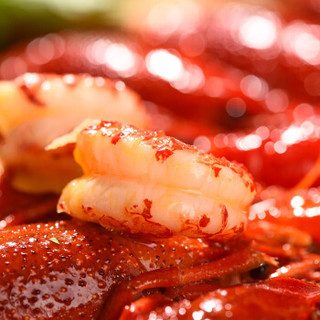 谷源道 海洋世家 麻辣小龙虾1.8kg 4-6钱/33-50只 海鲜水产 火锅食材