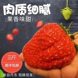 丹东99红颜奶油草莓3斤装 久久草莓 新鲜水果 京东生鲜 净重3斤装