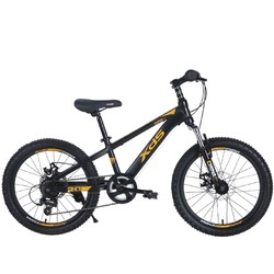 XDS 喜德盛 中国风 黑色20寸 儿童自行车 