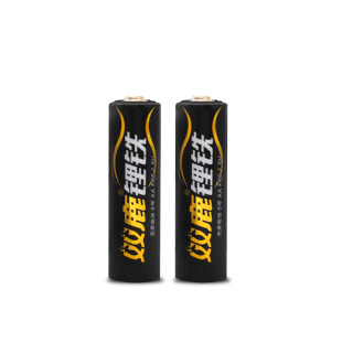 双鹿5号锂铁电池AA FR6 FR14505锂电池1.5V电子锁密码锁智能门锁指纹锁电池五号2节无汞防漏液强电量包邮