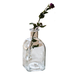 掬涵 小型玻璃器皿小花瓶花器 透明干花插花小号水培客厅装饰摆件