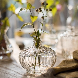 掬涵 小型玻璃器皿小花瓶花器 透明干花插花小号水培客厅装饰摆件