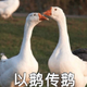 手慢无、反季特卖：京东自营 Canada Goose加拿大鹅 限时清仓