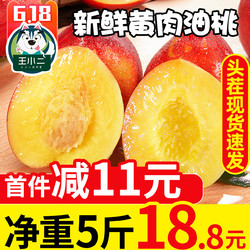 王小二 新鲜黄肉油桃当季水果包邮桃子当季蜜桃应季密桃5斤批发