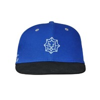 江苏苏宁俱乐部春季定制中性通用运动棒球帽（天兰色）足球球迷用品