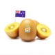 Zespri 佳沛 新西兰阳光金奇异果 6个 单果重约134-175g，平均4.5一个 *5件