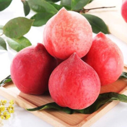 华北强 山西运城水蜜桃 净果5斤装