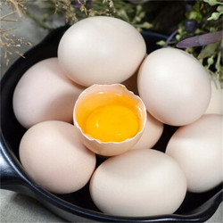 三潮友 谷物饲养鲜鸡蛋  盒装40枚