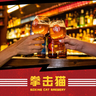 拳击猫(Boxing cat) 琥珀拉格精酿啤酒First Blood 啤酒 500ml*6听