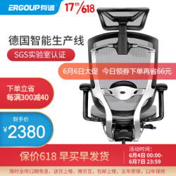 Ergoup Marrit-致炫 高端人体工学电脑椅 (前200名赠地毯)