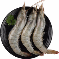 海捕大虾白虾 4斤（净重2.8-3.2斤）
