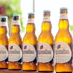 Hoegaarden/福佳 比利时风味果味精酿啤酒小麦白啤 福佳白啤酒330ml*24瓶 *2件