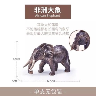 Wenno  野生动物仿真模型摆件 非洲大象 *3件