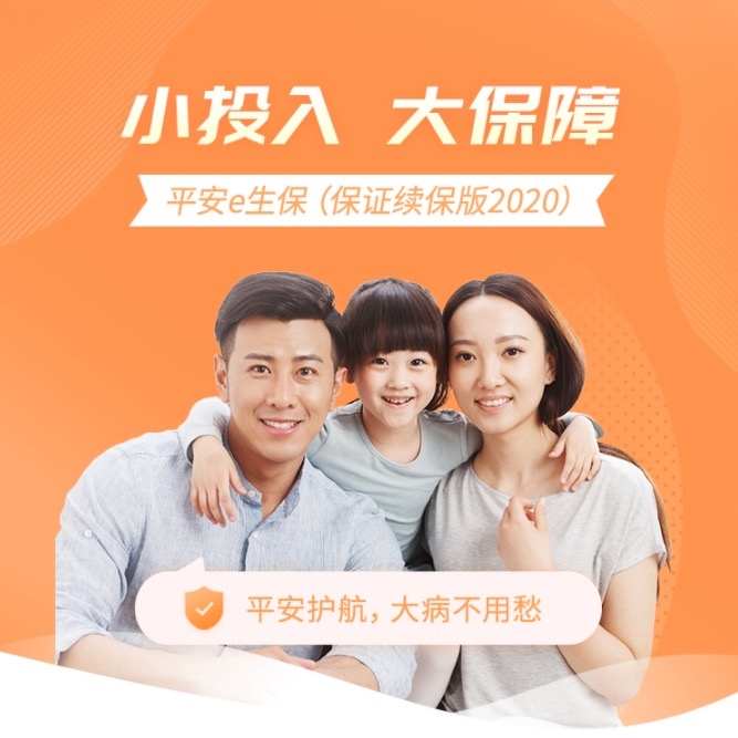 平安e生保(保证续保版2020)