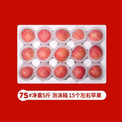 闵家山   烟台红富士苹果  5斤/箱 *5件