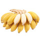 香蕉小米蕉9斤装