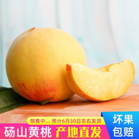 砀山黄桃新鲜水果大桃子京东生鲜应季 10斤装黄桃