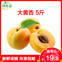纯鲜嘉 山西大黄杏 5斤 金太阳黄杏子 时令生鲜水果桃子 孕妇水果 净重4.5-5斤