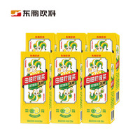 东鹏 由柑柠檬茶 250ML*6盒 *2件