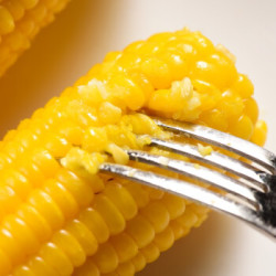 香德铭 张家口黄糯玉米 4根 *2件