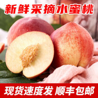 水蜜桃-（净重5斤-大果）孕妇水果桃子