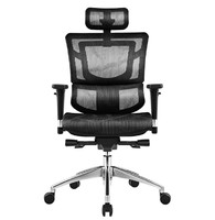 SITZONE 精壹 DS-001A1 人体工学椅电脑椅 黑色 标准版