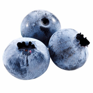 现摘新鲜蓝莓125g*4盒装 新鲜水果