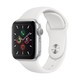 Apple 苹果 Watch Series 5 智能手表 40mm