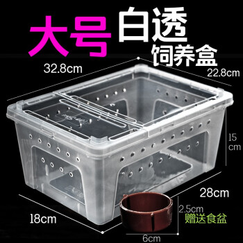 爬虫爬宠饲养盒守宫蜥蜴蚕宝宝蝎子蜘蛛角蛙昆虫寄居蟹树栖饲养箱 大号白透饲养盒