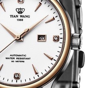 TIAN WANG 天王 昆仑系列 5876 女士自动机械手表