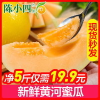 新鲜黄河蜜瓜 5斤 新鲜水果 苏宁生鲜水果 陈小四水果