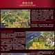 任天堂Switch ns游戏卡带 文明帝国6 文明6 中文游戏