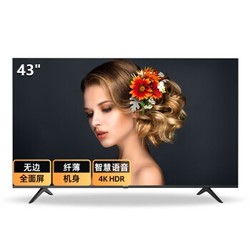 海信（Hisense）HZ43E3D 43英寸 4K超清 HDR AI智慧语音 无边全面屏 人工智能 教育资源 液晶平板电视机