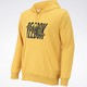 Reebok 锐步 Y2K Logo Hoodie 16209 男女款休闲卫衣