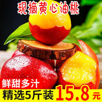 黄肉油桃 新鲜水果桃子黄心甜桃脆桃生鲜 5斤装